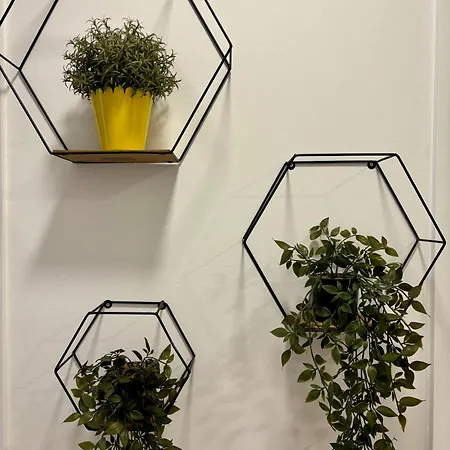 公寓 Charming In 塞拉耶佛