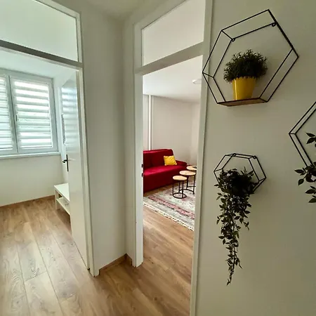 Charming In Apartment